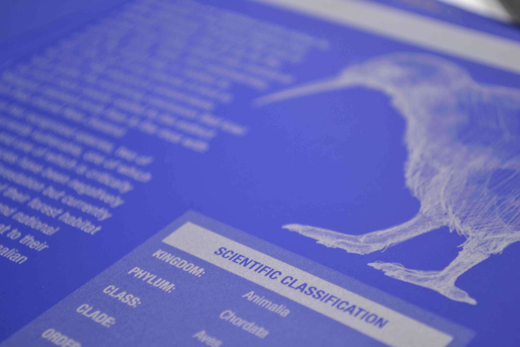 Silver Metallic Inks Printing | Classic Colour Copying